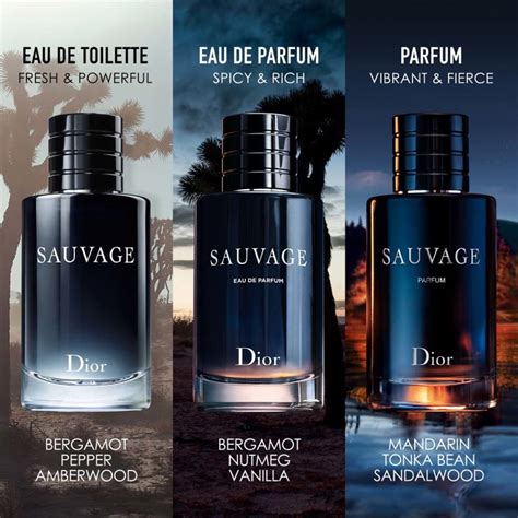 parfum homme dior sauvage eau de parfum|dior sauvage release date.